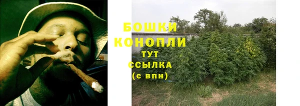 mix Богородицк