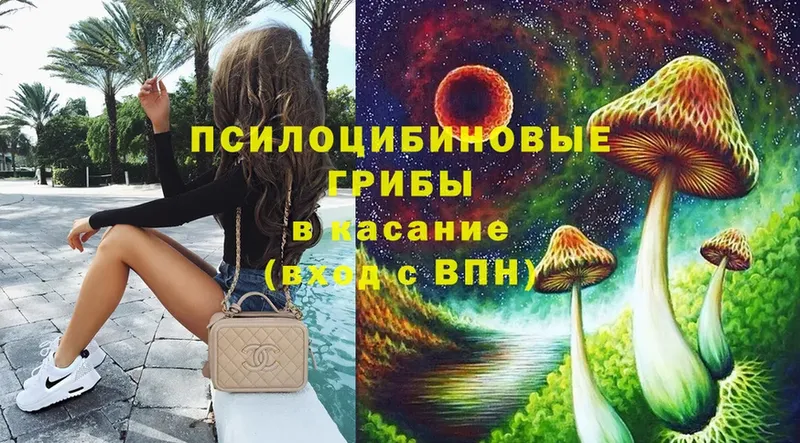 Галлюциногенные грибы Magic Shrooms  кракен онион  Рыбное 